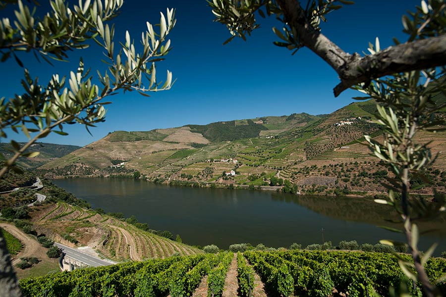 Quinta do Seixo